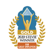 2020 stevie winner